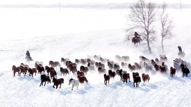 沙尔克锋线小将普拉特遭到德累斯顿和达姆两支德乙球队关注|必一运动官网(图3) bsports必一体育