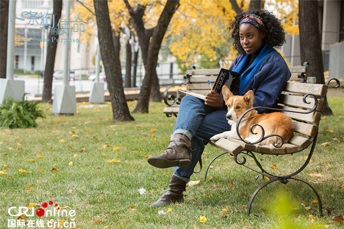沙尔克锋线小将普拉特遭到德累斯顿和达姆两支德乙球队关注|必一运动官网(图2) 必一运动官网