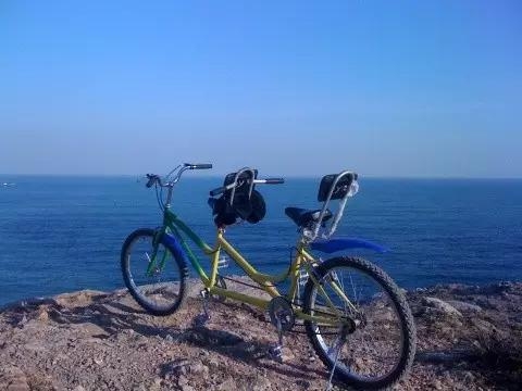 必一运动bsport体育