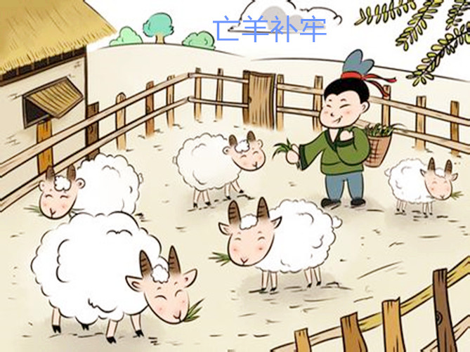 必一运动bsport体育