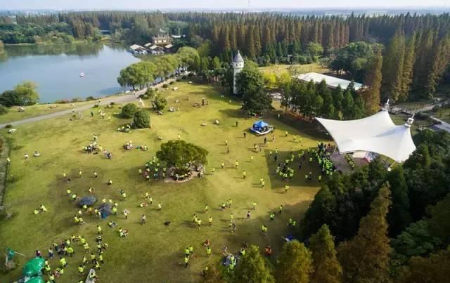 必一运动bsport体育