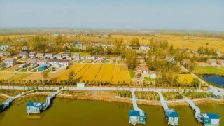 这些不能再犯了！20年一消备考的6大禁忌【必一运动官网】